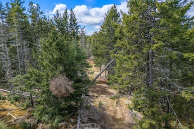 12D, 12I Mildred Grace Rd, Islesboro, ME 04848 - photo 7