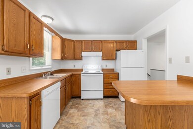 423 Albany St, Fredericksburg, VA 22407 - photo 7