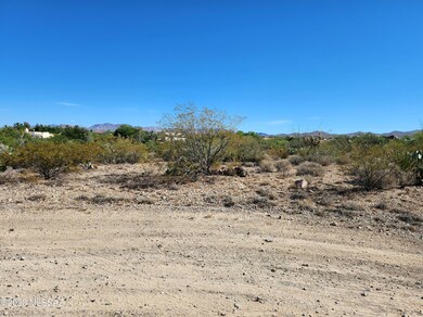 2960 E Kreisler Place unit 27, Vail, AZ 85641 - photo 4