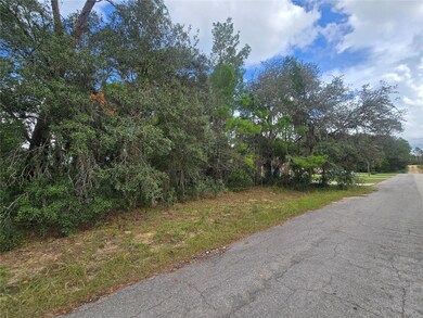 3006 Clearwood St, Inverness, FL 34452 - photo 2
