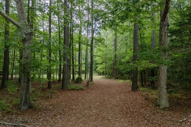 Lot 3 Peaceful Pond Dr unit 3, Jamesville, VA 23350 - photo 2