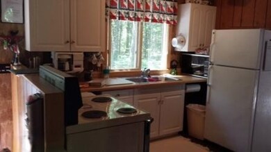 8232 W Fernwood Ave, Baldwin, MI 49304 - photo 7