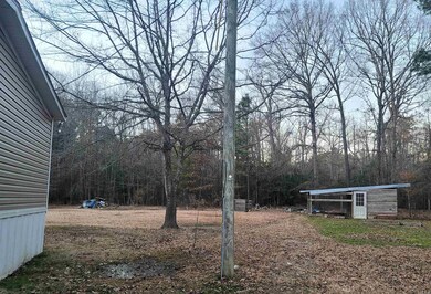 2408 N Arch St, Sheridan, AR 72150 - photo 4