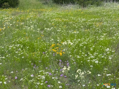 2887 Cr 255 - Family Compound, Georgetown, TX 78633 - photo 7