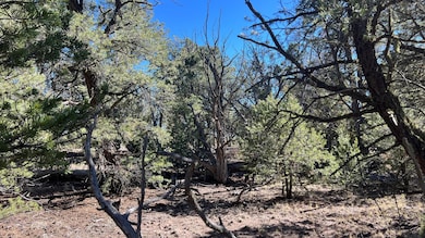 0 Paradise Loop unit 25411750, Quemado, NM 87829 - photo 5