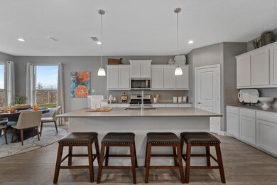 2341 Briscoe Ranch Dr, Hudson Oaks, TX 76087 - photo 3