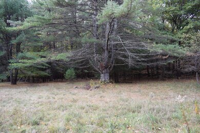 333 Meredith Neck Rd, Meredith, NH 03253 - photo 4