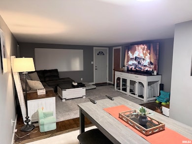 416 Maple St, Chillicothe, IL 61523 - photo 2