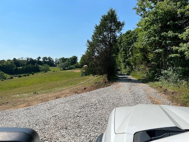 4005 Randolph Rd, Edmonton, KY 42129 - photo 3