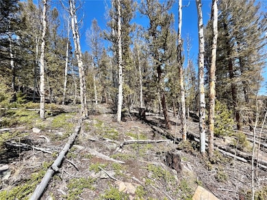 2834 Middle Fork, Fairplay, CO 80440 - photo 4