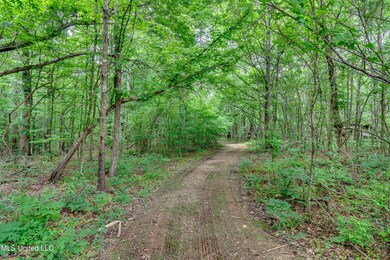 1597 Old Lake Rd-1