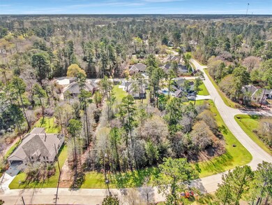 25210 Melanie Pointe, Tomball, TX 77375 - photo 4