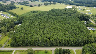 TBD Old Railroad Rd, Conway, SC 29527 - photo 3