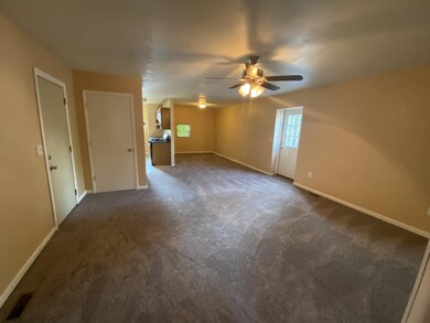 106 N Talbot St, Addison, MI 49220 - photo 6