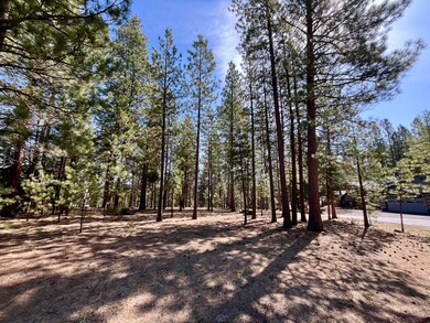 53514 Wildriver Way, La Pine, OR 97739 - photo 5