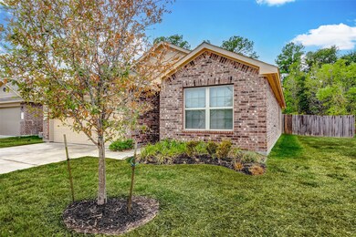 10135 Shagbark Hickory Ct, Tomball, TX 77375 - photo 3