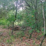 Ground