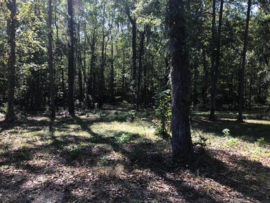 Flat and private land