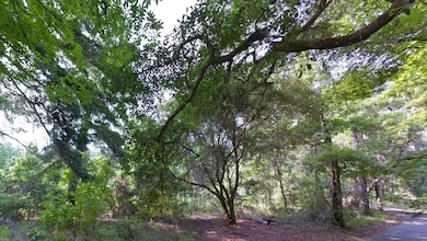 000 Moorhen Cir, Tallahassee, FL 32312 - photo 2