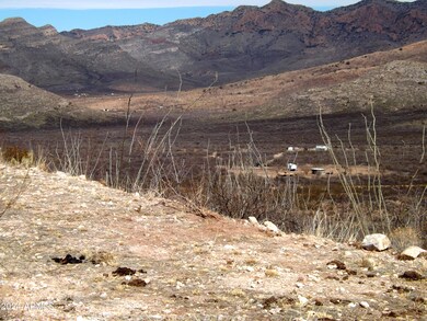 Red Mountain lot 1 04