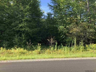 30 Lincoln Mountain Rd, Greenfield Center, NY 12833 - photo 2