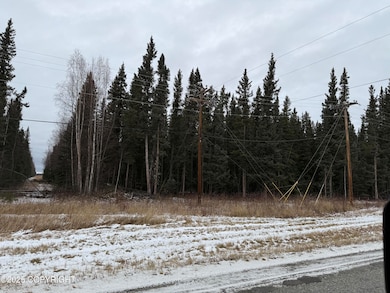 000 Tanana Loop Rd, Big Delta, AK 99737 - photo 7