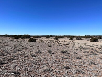 004P N7204, St. Johns, AZ 85936 - photo 3