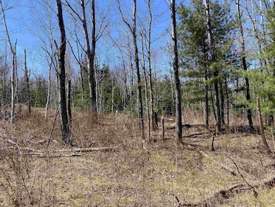 0 Mace Rd, Newbury, VT 05081 - photo 6