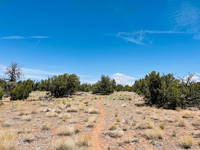 9558 Bird Dog Circle Photo 5