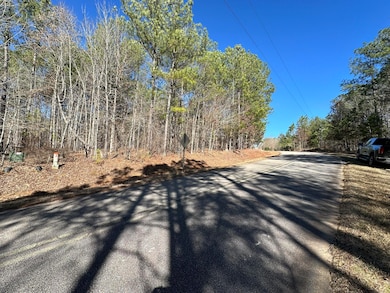 L31 Willow Way, Lincolnton, GA 30817 - photo 3