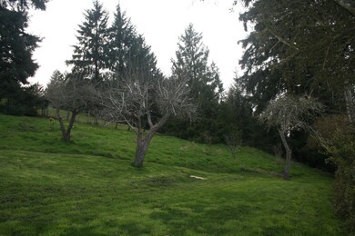 Apple Plum Orchard