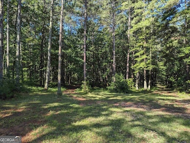 LOT 3 Joe Roberts Rd, Newnan, GA 30263 - photo 5