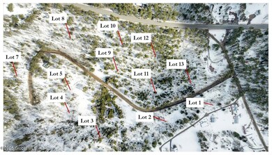 L92 Highview Ln unit Lot 8, Wevertown, NY 12886 - photo 3