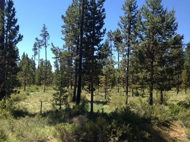 unlisted-address, Bend, OR 97707 - photo 5