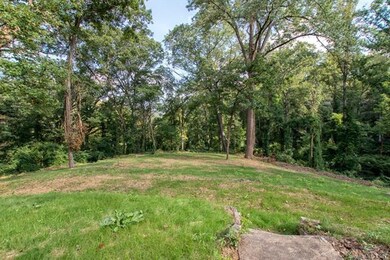Huge Gently Sloping Lot