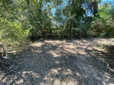 22425 Roberts Cemetery Rd, Hockley, TX 77447 - photo 2