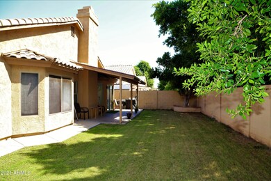 Nopal Backyard 2