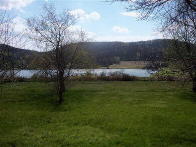 View. Case Lake from back yard.