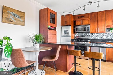 Takoma Overlook Condominium unit 1108, Takoma Park, MD 20912 - photo 5