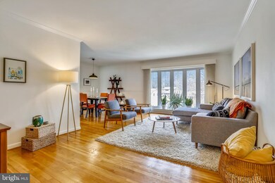 1504 Northcrest Dr, Silver Spring, MD 20904 - photo 3