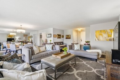 Imperial Towers unit 701, Chestnut Hill, MA 02467 - photo 7