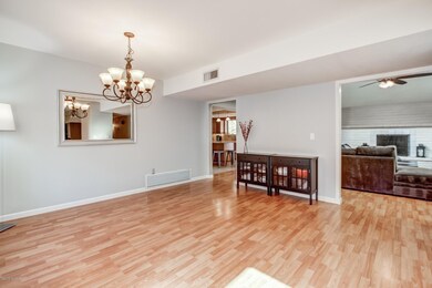 Walnut Tree - 9335 (7)