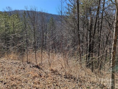 94 Trillium Ln unit C2, Black Mountain, NC 28711 - photo 3
