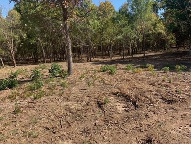 0 Mockingbird Ln, Shawnee, OK 74804 - photo 6