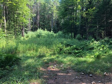 L203 Shippee Rd, Day, NY 12822 - photo 4