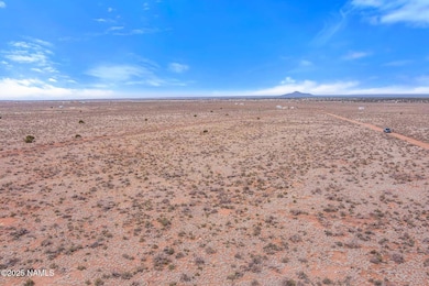 2694 E Columbus Dr, Valle, AZ 86046 - photo 5