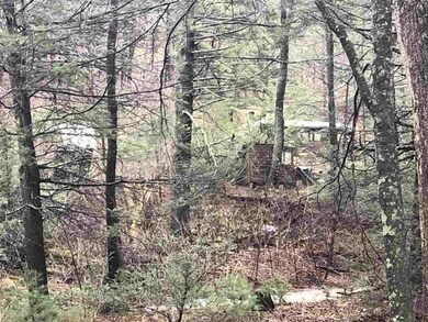 0 Mongold Hollow Rd, Mathias, WV 26812 - photo 2