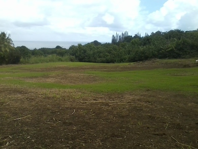 Lower Nahiku Rd, Hana, HI 96713 - photo 7