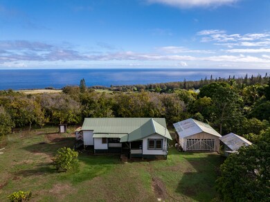 44-2248 Hawai?i Belt Rd, Honokaa, HI 96727 - photo 2