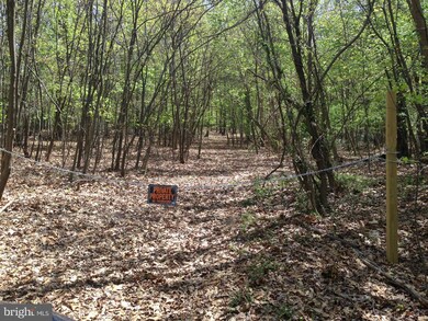 PARCEL 44 Hoffmaster Rd, 11, Sandy Hook, MD 21758 - photo 2